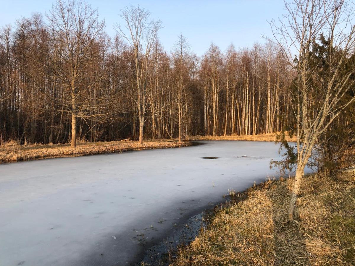 Uueparu Villa Tuuliku Exteriör bild